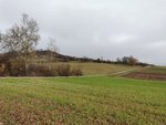 IMG_20201113_161109.jpg