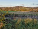 IMG_20201105_155755.jpg