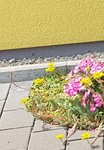 20201118_131223.jpg