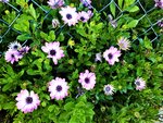 IMG_20201118_151735.jpg