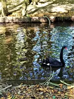 IMG_20200918_141847_3.webp IMG_20200918_141847_3.webp