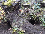 20201120_155740.jpg