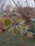 20201121_080112.jpg