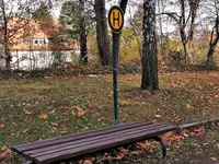 IMG_20201106_102444.webp