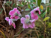 DSCF4279 (2).webp