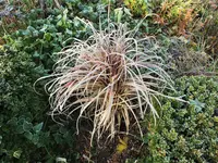 DSCF4283 (2).webp