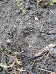 20201121_153248.jpg
