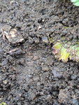20201121_153257.jpg