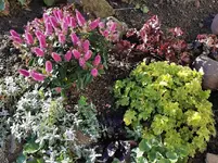 IMG_20201121_095854.webp
