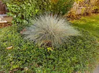 IMG_20201121_100008.webp