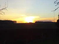 DSC01382.JPG