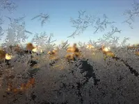 20201122_081547.webp