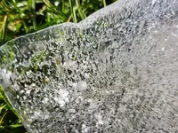 IMG-20201122-WA0011.webp