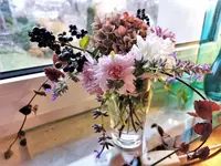 1606056709211.webp