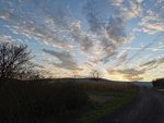 IMG_20201122_160100.jpg