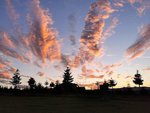 IMG_20201122_161544.jpg