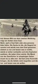 esel.webp