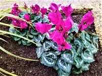 IMG_20201122_144312.webp