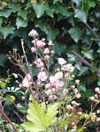 P1020090.JPG