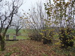 P1020111.JPG