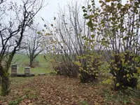 P1020111.JPG