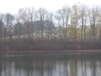 P1020118.JPG