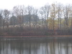 P1020118.JPG