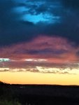 IMG_20200904_205033_4.jpg