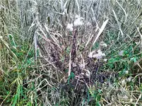 IMG_20201122_153022.webp