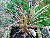 IMG_20201124_093742_1.jpg