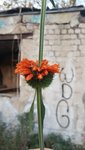 20201124_162119.jpg