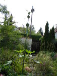 DSCN9164.JPG