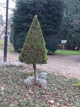 20201123_155242.jpg