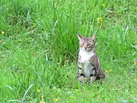 IMG_7752 v (2).webp
