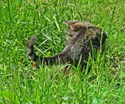 IMG_7904 v (2).webp