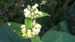 DSCN3161.JPG