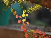 image007.webp