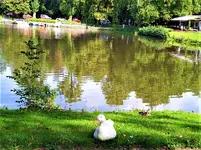 IMG_20200915_131748.webp