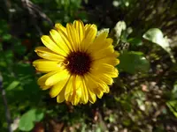 P1020061.webp