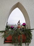 IMG_20201126_121126.jpg