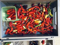 3D940675-372E-40CB-B008-D60DAFE1EC62.jpeg