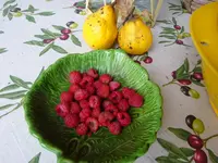 DSC01386.webp