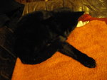 IMGP0502.JPG