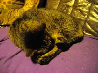 IMGP0500.webp