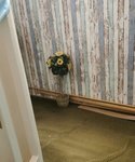 IMG_20201128_220320.jpg