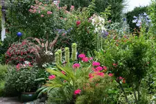 Terasse0615.webp