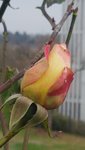 20201129_123841.jpg