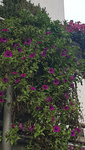20201129_123759.jpg