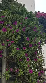 20201129_123759.jpg