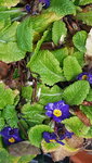 20201129_123820.jpg